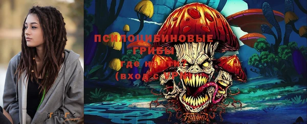 прущие крисы Абаза