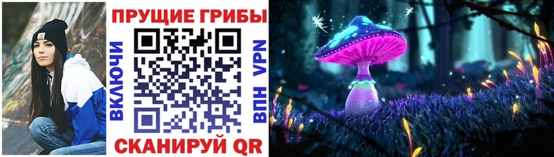 ОМГ ОМГ онион  Батайск  Псилоцибиновые грибы мицелий 